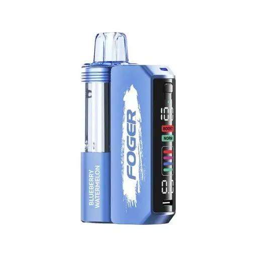 FOGER KIT 30K BLUEBERRY WATERMELON 5CT